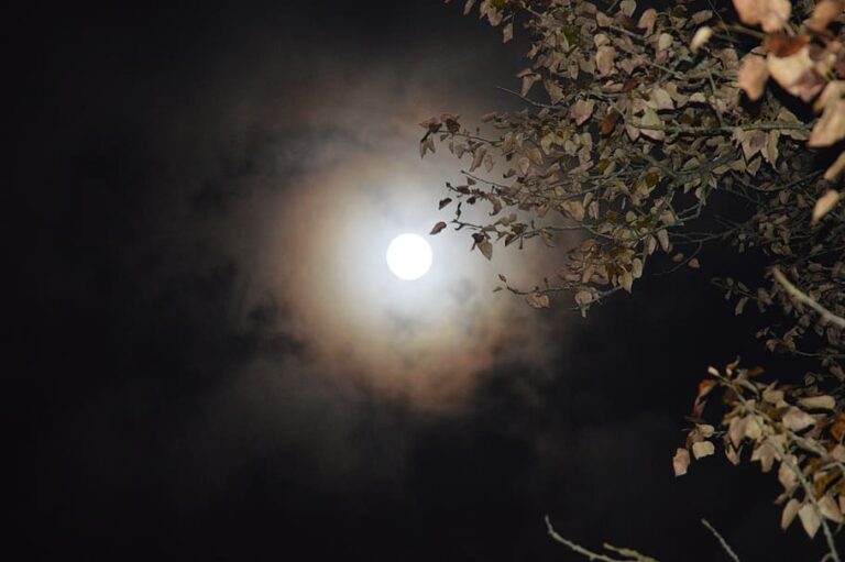 Le signe de la lune et l’expression émotionnelle : un regard plus approfondi