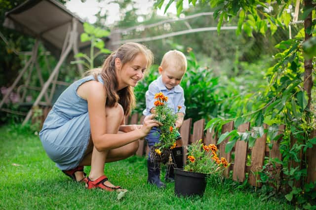 Top 5 des signes du zodiaque qui aiment faire du jardinage