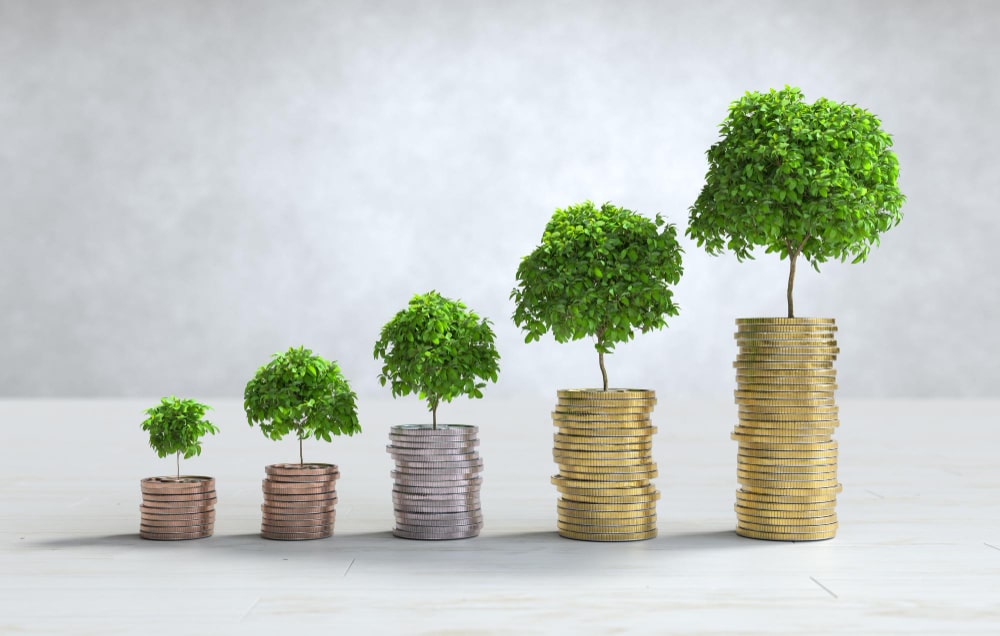 Business Growth