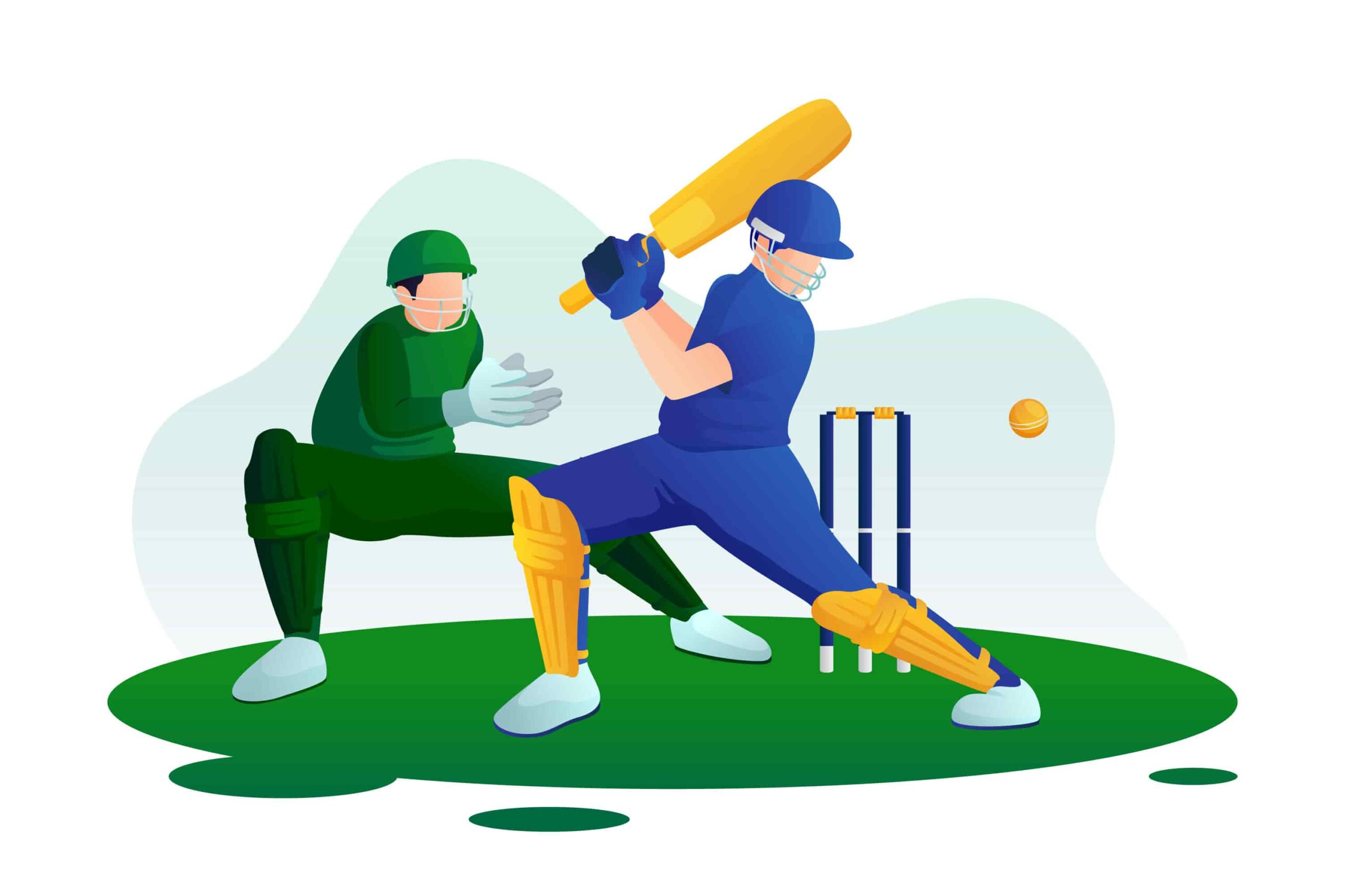 Cricket lover