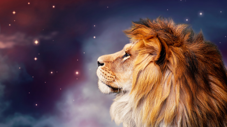 New Moon in Leo