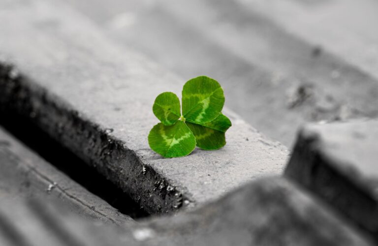 2026 sera l'année de la fortune pour 4 signes du zodiaque