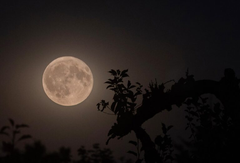 La pleine super lune de janvier 2026 impacte le destin de 3 signes