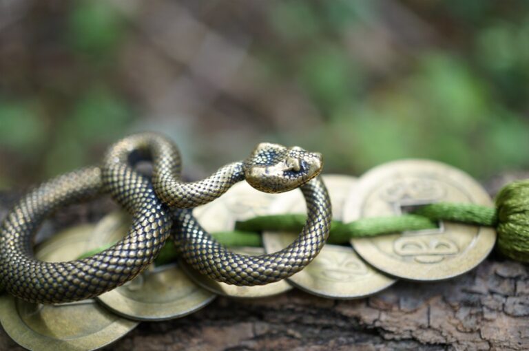 3 signes du zodiaque chinois attendent de l'argent en abondance du 8 au 15 février