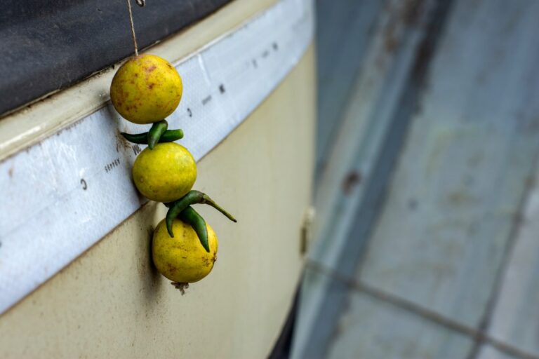 Recettes maison pour éliminer le mauvais œil avec de l'œuf, du citron et du sel