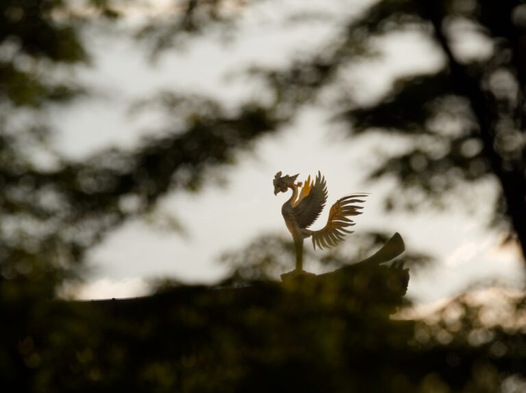5 signes du zodiaque qui ressemblent au Phénix : ils renaissent de leurs cendres