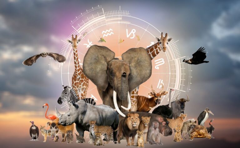 À quel animal sauvage votre signe du zodiaque s'identifie, selon son caractère