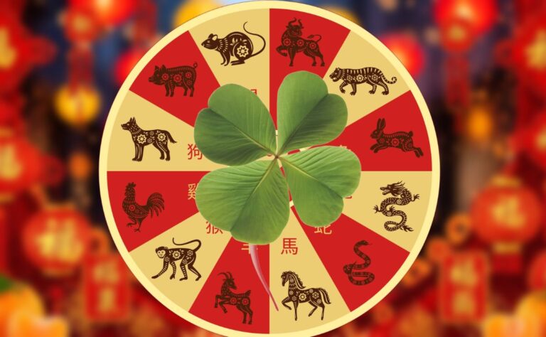 3 signes du zodiaque chinois prévoient la meilleure semaine du 11 au 17 mai