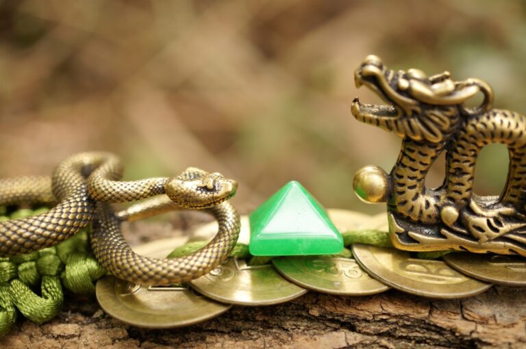 Dans quelle mesure le Dragon et le Serpent sont-ils compatibles dans le zodiaque chinois ?