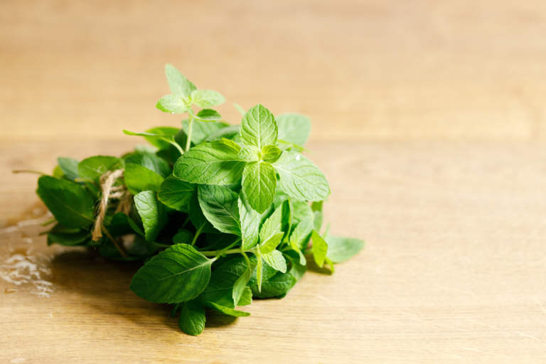 La signification de la menthe poivrée pour la chance : comment l&rsquo;utiliser dans les rituels