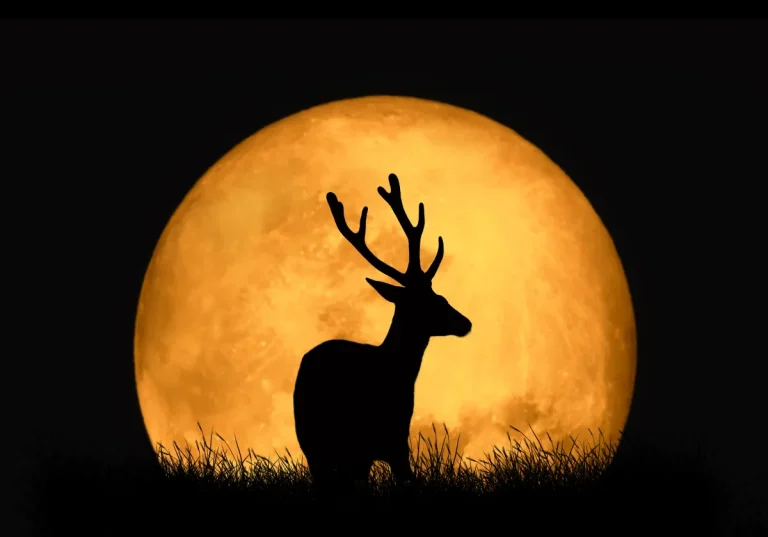 La pleine Lune du Cerf arrive le 29 juillet : comment elle vous affecte, selon votre signe