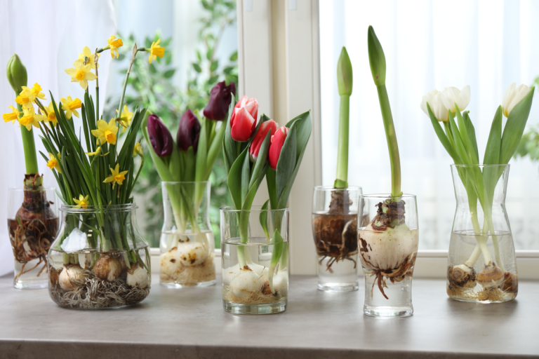 Si votre signe du zodiaque était une fleur, laquelle serait-elle ?