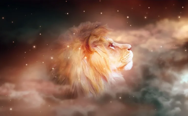 Portal de la Puerta del León 2026 : qu&rsquo;est-ce que cela signifie et comment en profiter