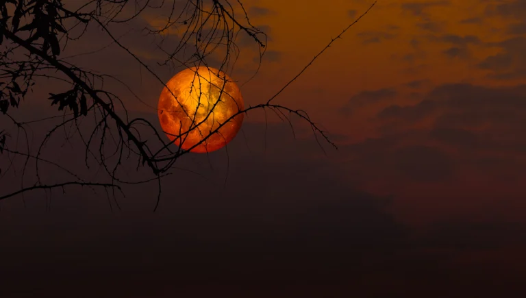 Ce que présage l&rsquo;éclipse lunaire du 28 août pour votre signe du zodiaque