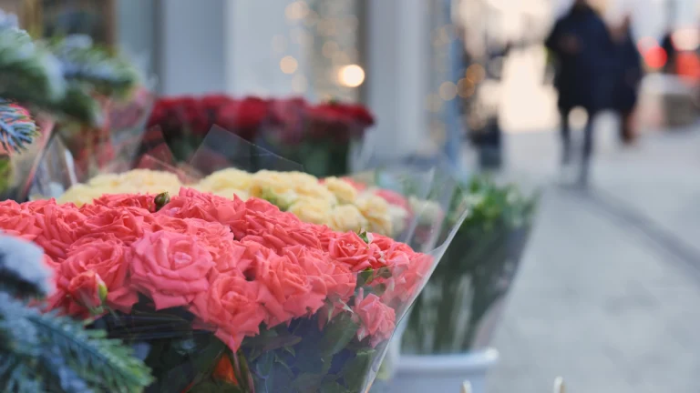 Quelle fleur vous attire le plus, selon votre mois de naissance ?
