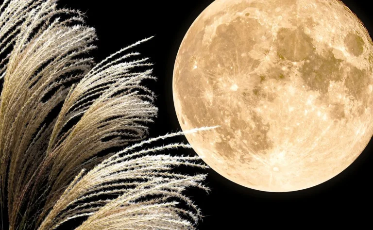 La pleine Lune des récoltes est la première de l’automne : son impact sur votre horoscope